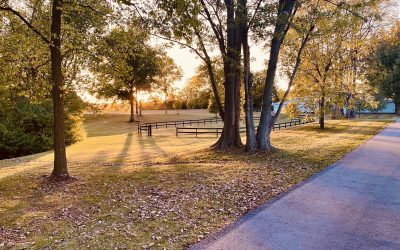 Tips for Great Fall Hikes With Your Dog